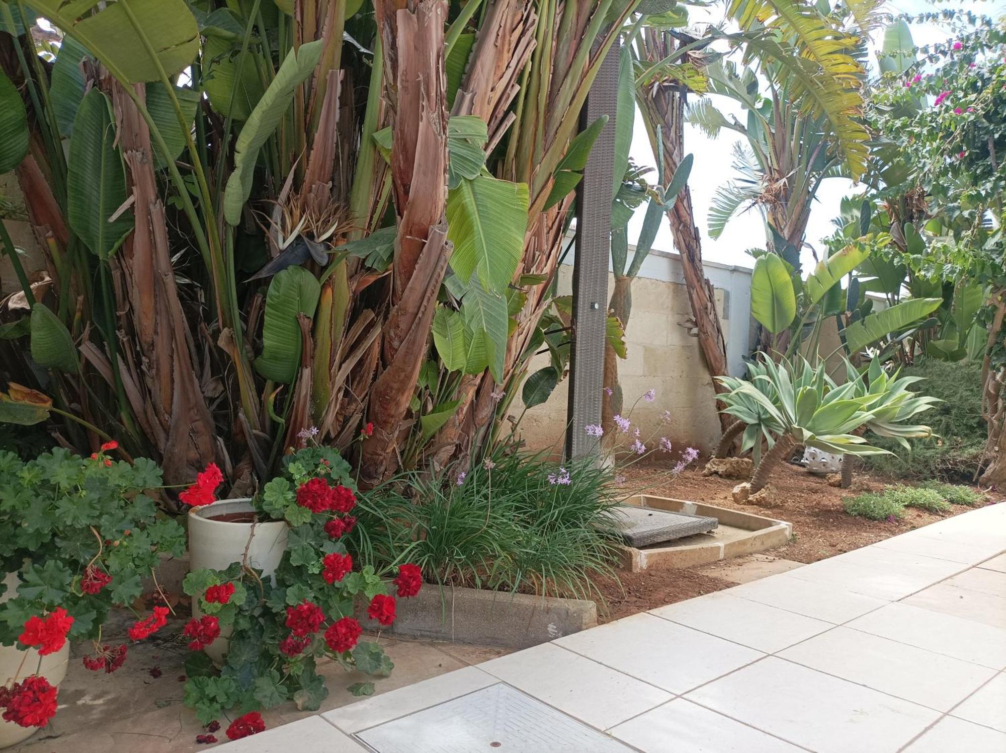 La Giara Resort Torre San Giovanni Ugento Bagian luar foto
